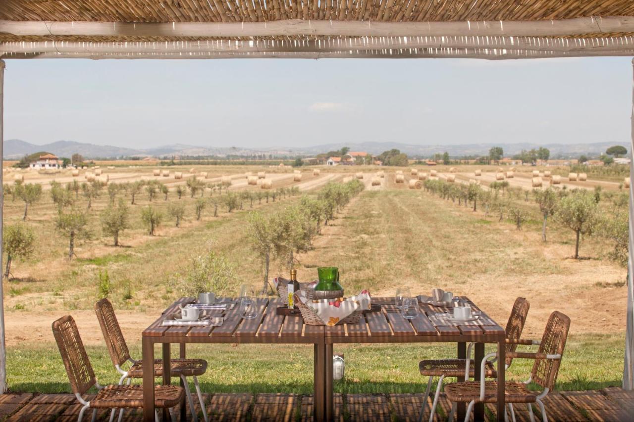 オルベテッロ Casale Olivetaヴィラ エクステリア 写真